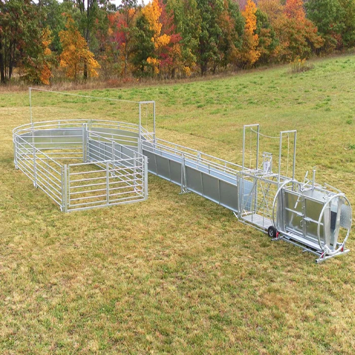 Kub Galvanization Hoof Trimming Chute rau yaj