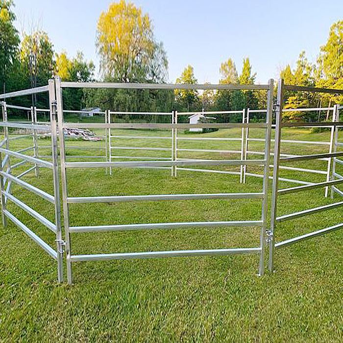 Tsiaj Panels
