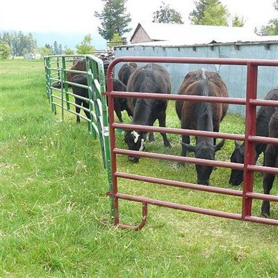 Nyuj Fence Panels