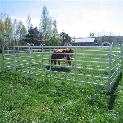 Galvanized nyuj panels